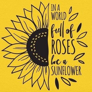 Meet your Posher, Luz